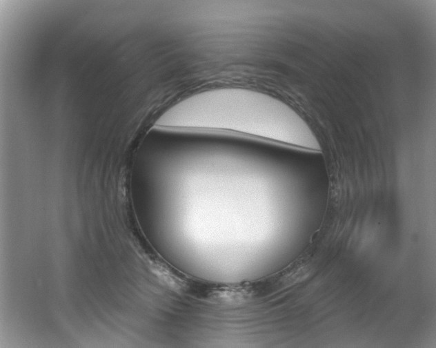 X0000062140466200512091021