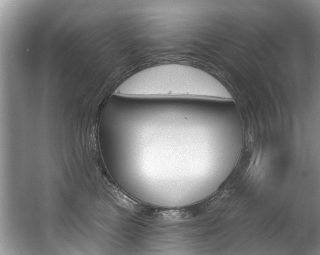 X0000062140473200512091022