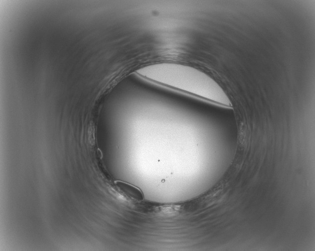 X0000062140474200512091022