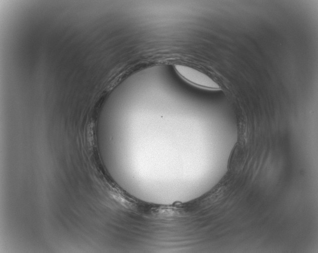 X0000062140475200512091022