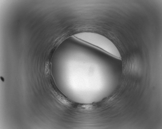 X0000062140478200512091022