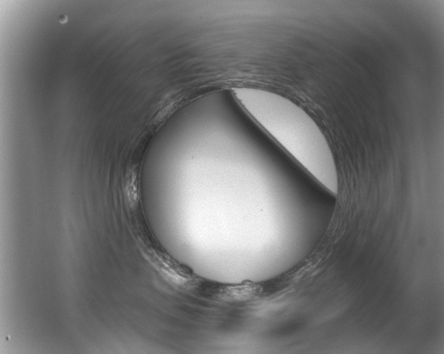 X0000062140479200512091022