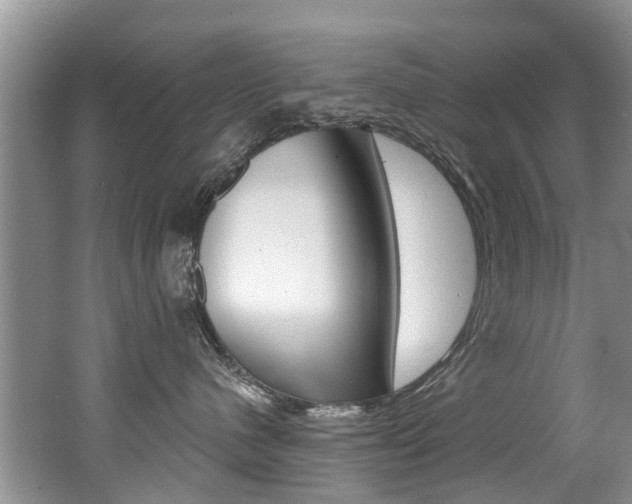 X0000062140480200512091022