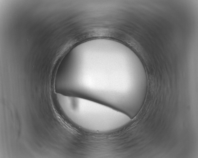 X0000062140482200512091021