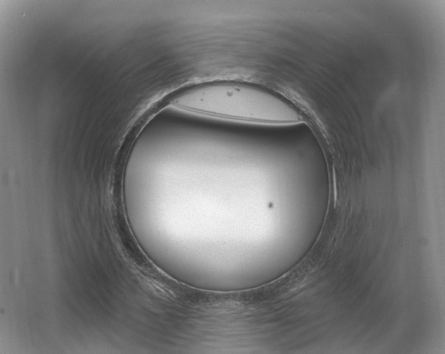 X0000062140483200512091021