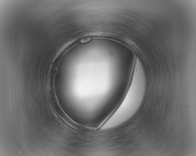 X0000062140484200512091021