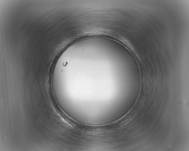 X0000062140485200512091021