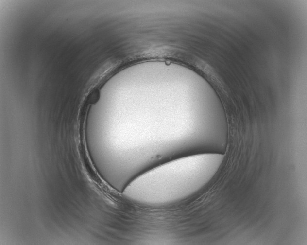 X0000062140486200512091021