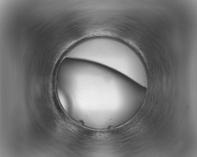 X0000062140487200512091021