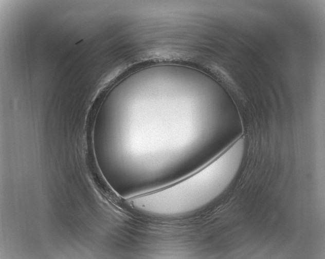 X0000062140488200512091021