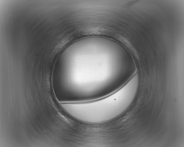 X0000062140489200512091021