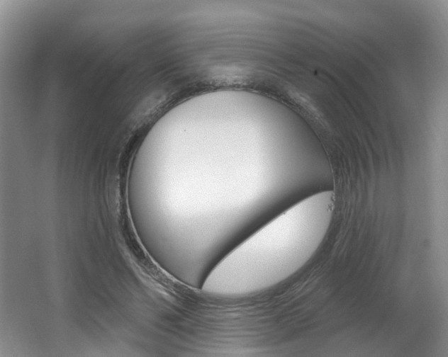 X0000062140494200512091021