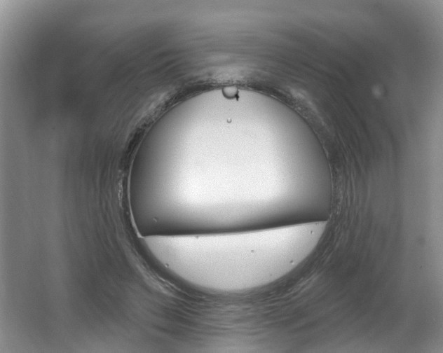 X0000062140495200512091021