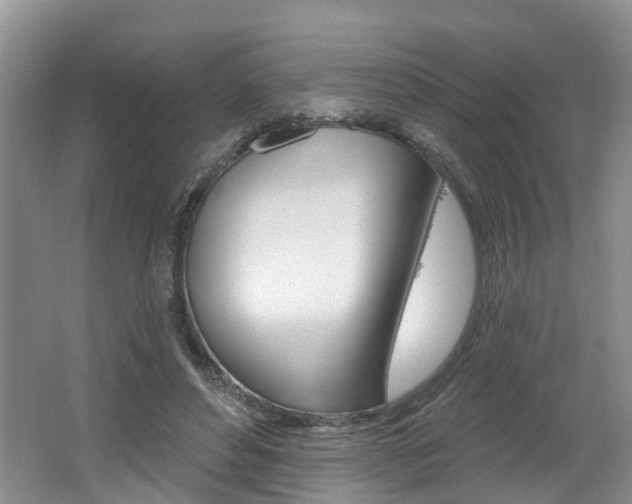 X0000062140496200512091021