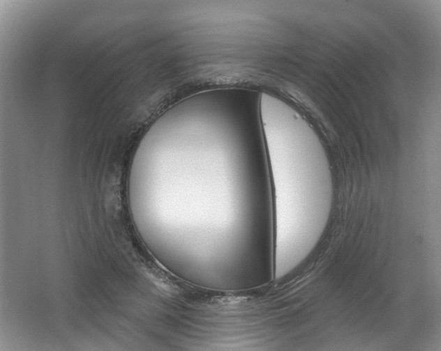 X0000062140497200512091021