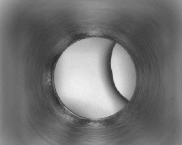 X0000062140502200512091020