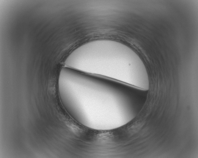 X0000062140505200512091020