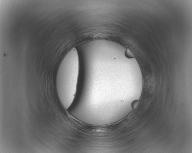 X0000062140506200512091020