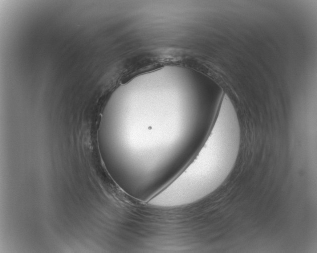 X0000062140512200512091020