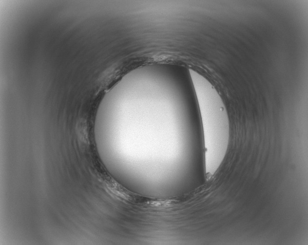 X0000062140524200512091020