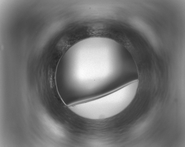 X0000062140525200512091020