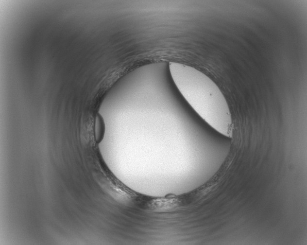 X0000062140526200512091020