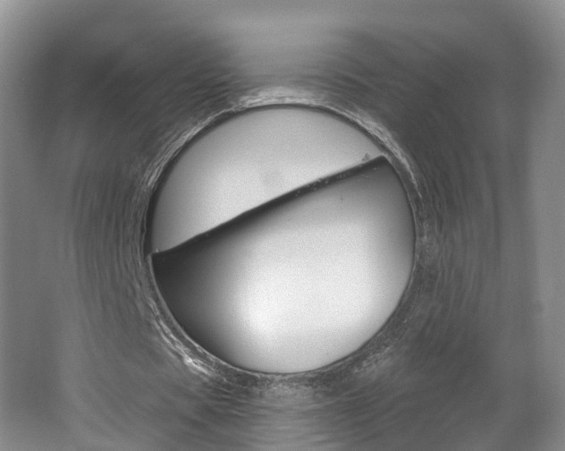 X0000062140529200512091019