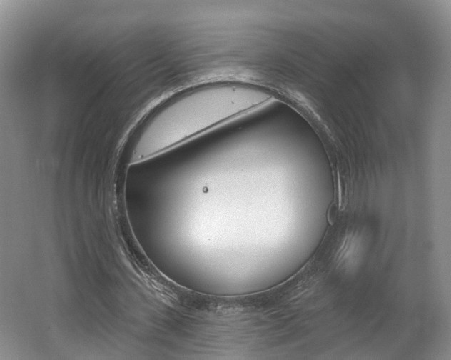 X0000062140531200512091019