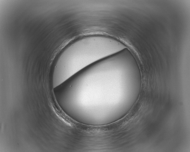 X0000062140533200512091019