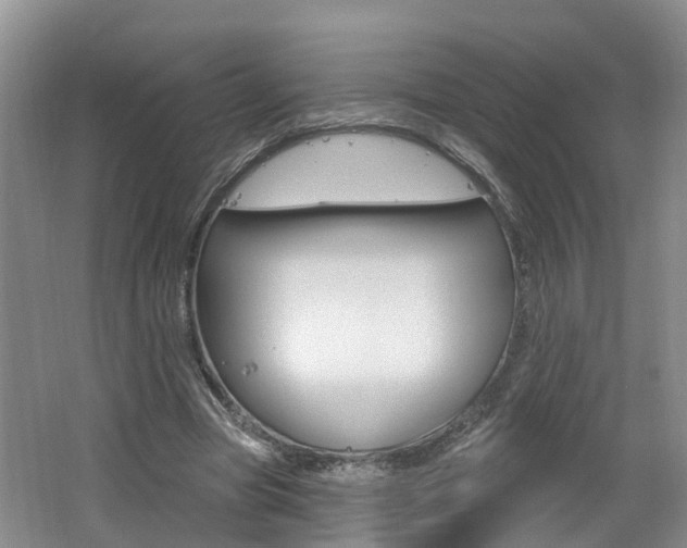 X0000062140537200512091019