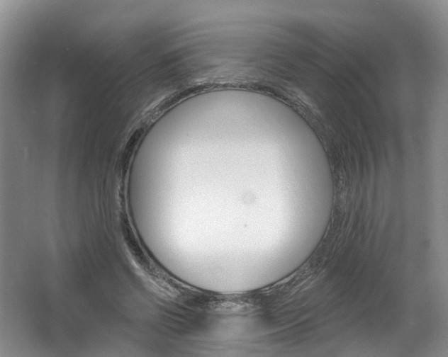X0000062140542200512091019