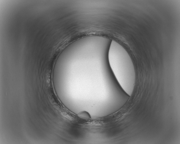 X0000062140545200512091019