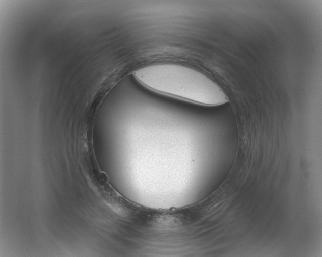 X0000062140547200512091020