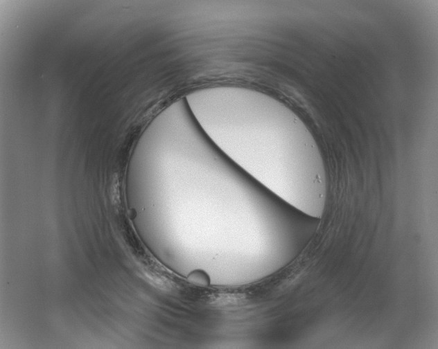 X0000062140549200512091020