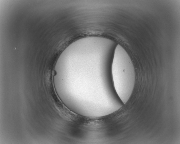 X0000062140550200512091020