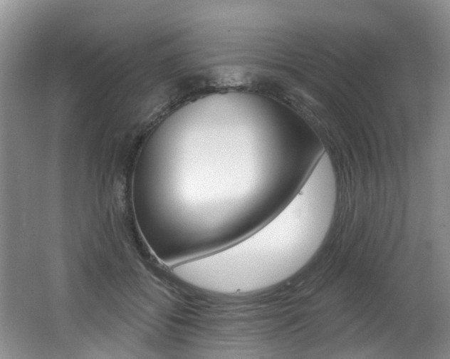 X0000062140556200512091020