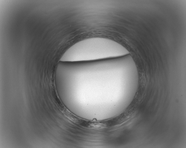 X0000062140557200512091020