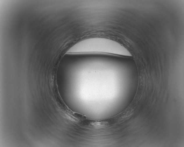 X0000062140558200512091020