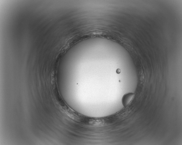 X0000062140559200512091020