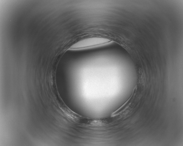 X0000062140562200512091020