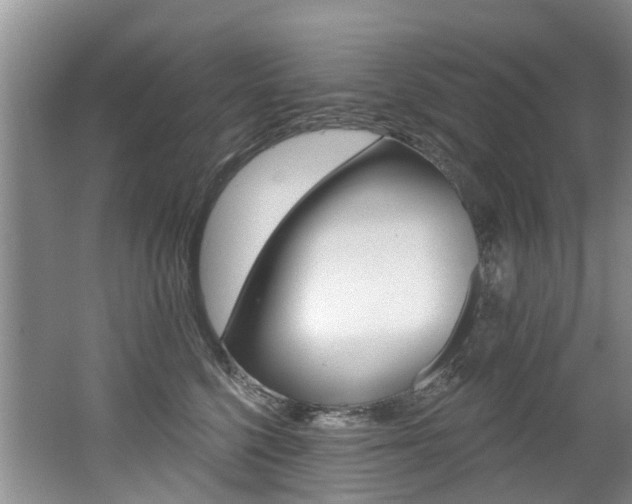 X0000062140568200512091020