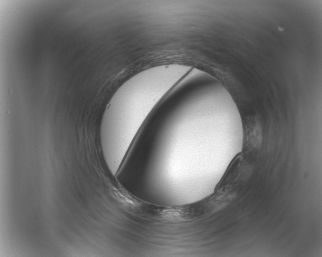 X0000062140574200512091020