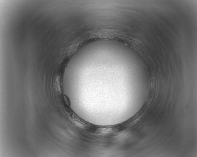 X0000062140575200512091020