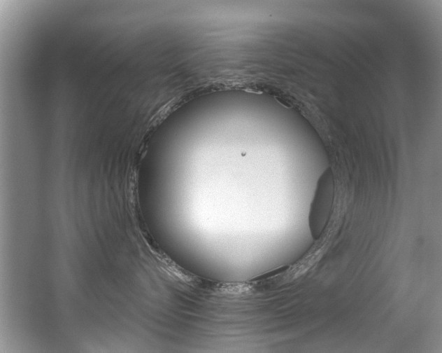X0000062140576200512091020