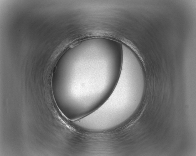 X0000062140577200512091019