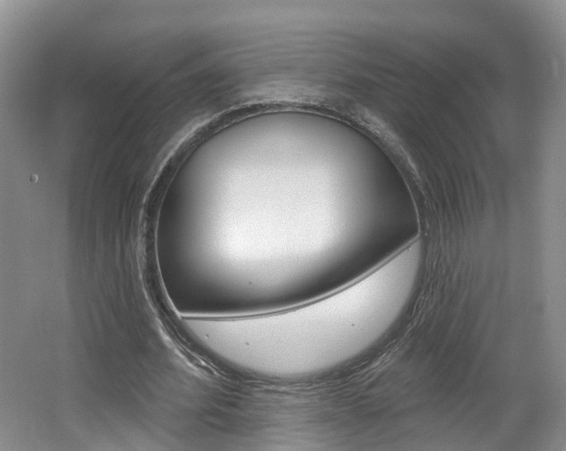 X0000062140580200512091019