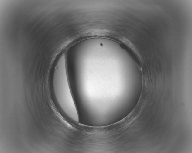X0000062140581200512091019