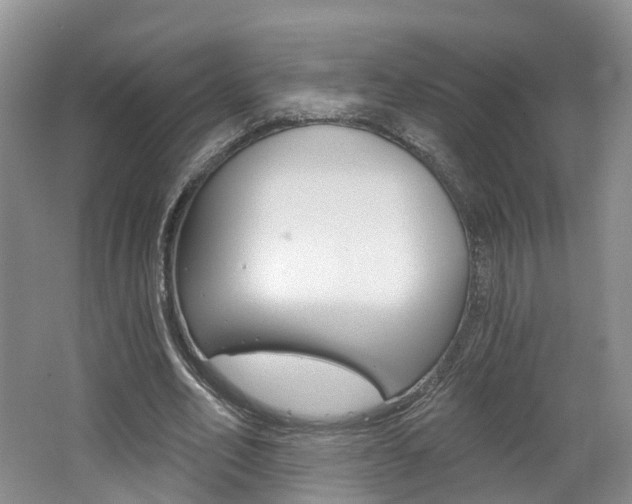 X0000062140582200512091019