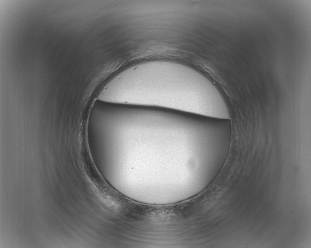 X0000062140586200512091019