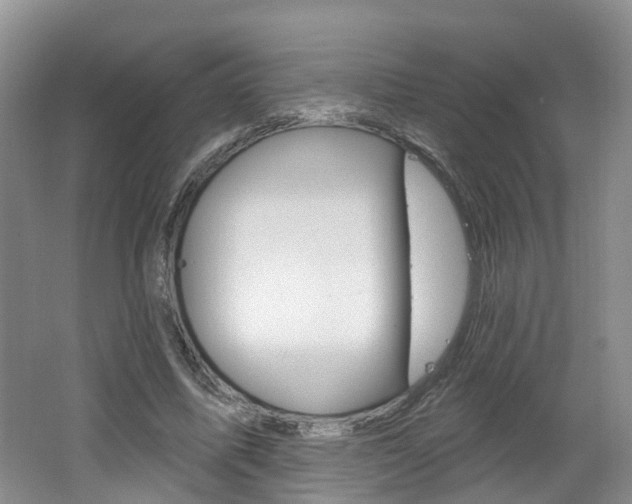 X0000062140587200512091019